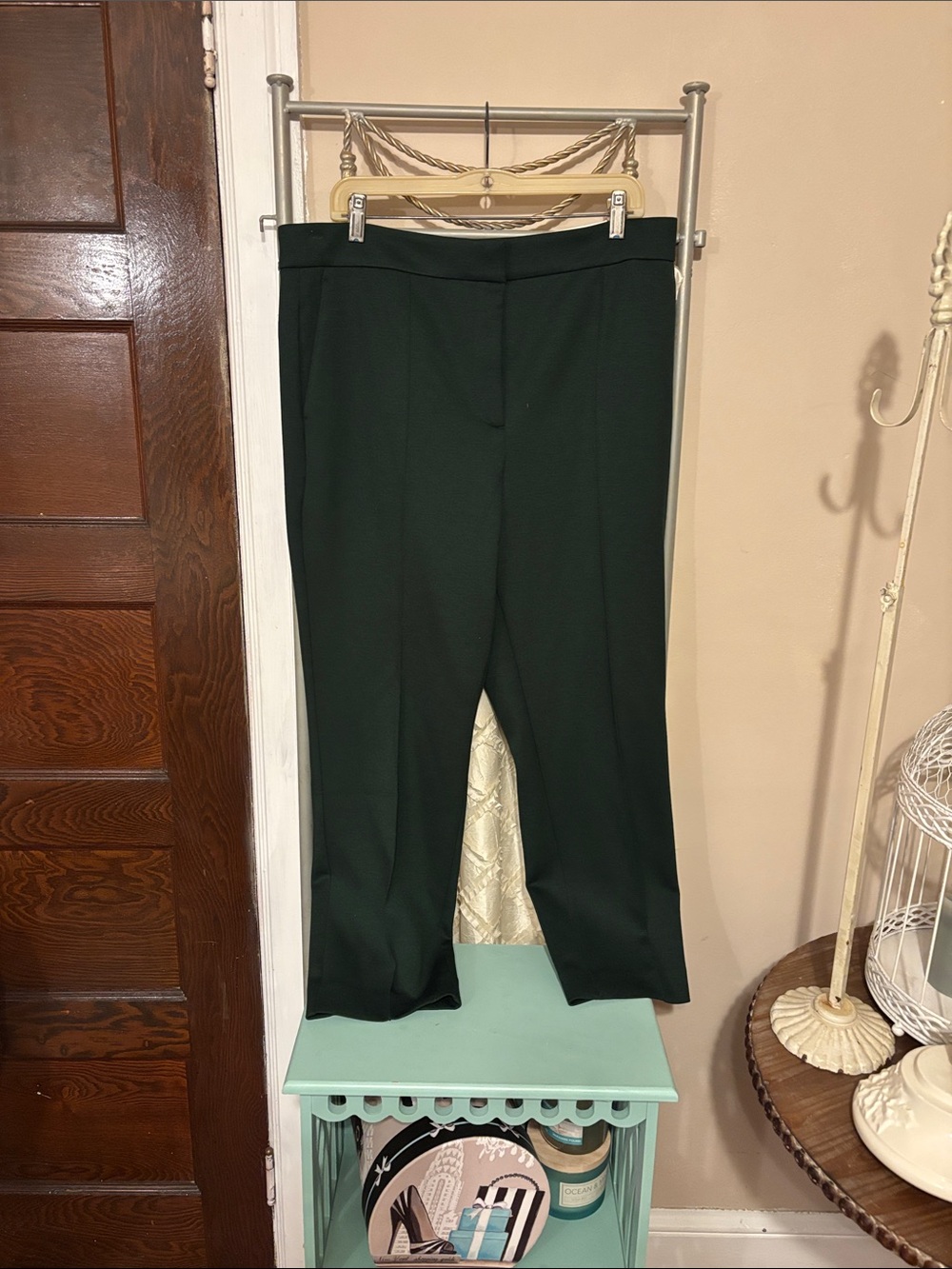 Ann Taylor Slim leg zip up front size 14 green pant